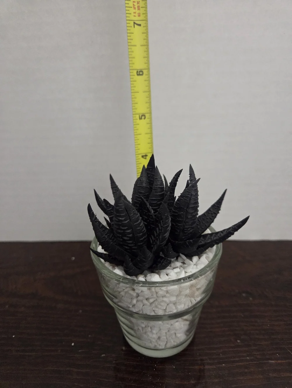 NWT Faux Succulent in Glass Planter With Faux White Rock - At Home